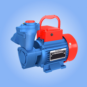 Crompton & Lubi Pumps